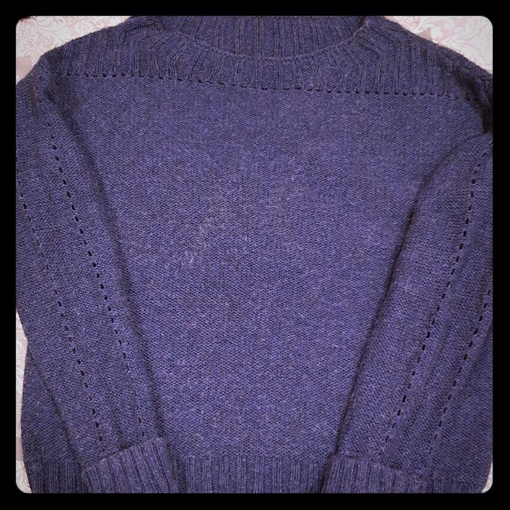 Blue Gap sweater small/medium